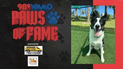 Paws of Fame Featured Pet: Keni