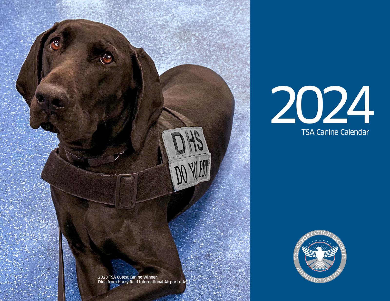 Good dogs TSA releases 2024 canine calendar WMMO