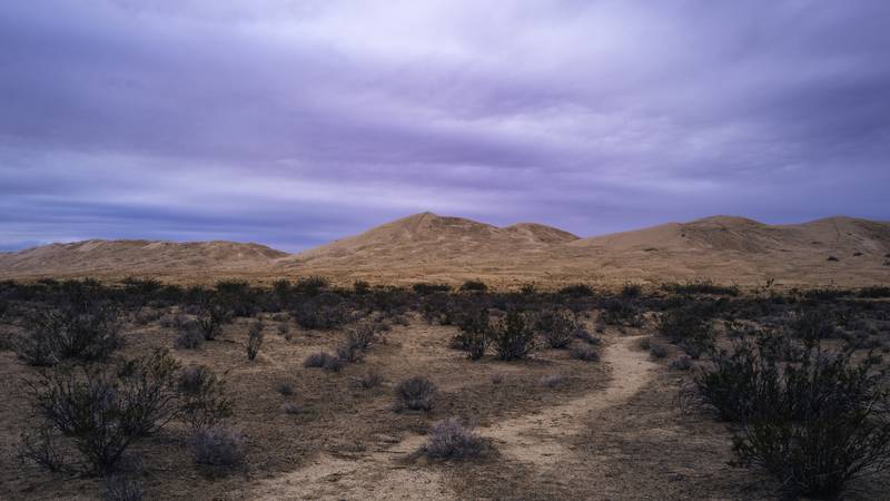 Mojave Desert