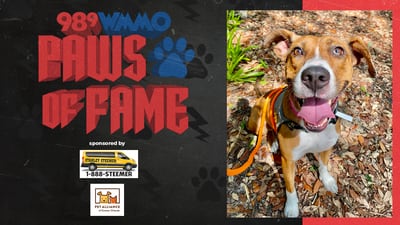 Paws of Fame Featured Pet: Alice