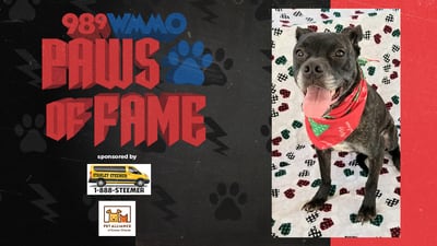 Paws of Fame Featured Pet: Niko