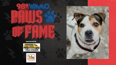 Paws of Fame Featured Pet: Ruby