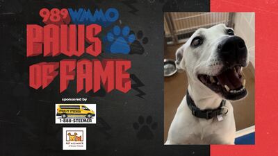 Paws of Fame Featured Pet: Luna