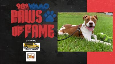 Paws of Fame Featured Pet: Squeakers