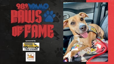 Paws of Fame Featured Pet: Candy