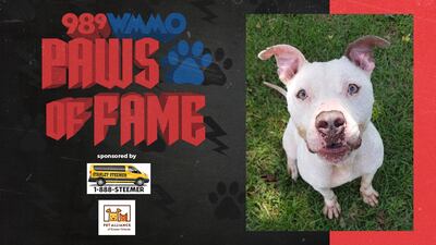 Paws of Fame Featured Pet: Zion