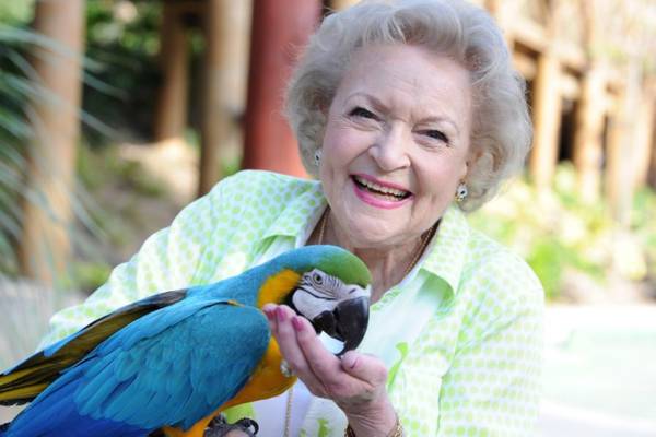 ‘Betty White Challenge’ raises $12.7M for animal shelters via Facebook, Instagram