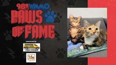 Paws of Fame Featured Pet: Ariel