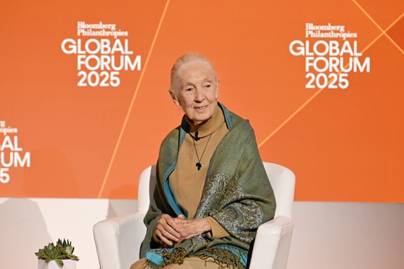 Dr. Jane Goodall