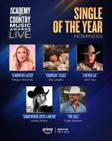 ACM Nominees