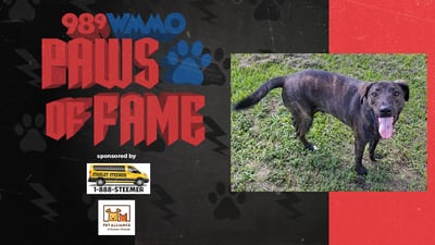 Paws of Fame Featured Pet: Boba