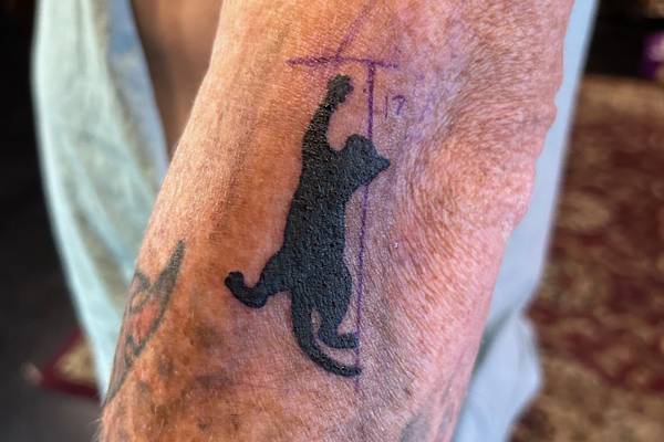 You Can Get A Free Kitty Tattoo If You Donate Some Food For Local Shelters